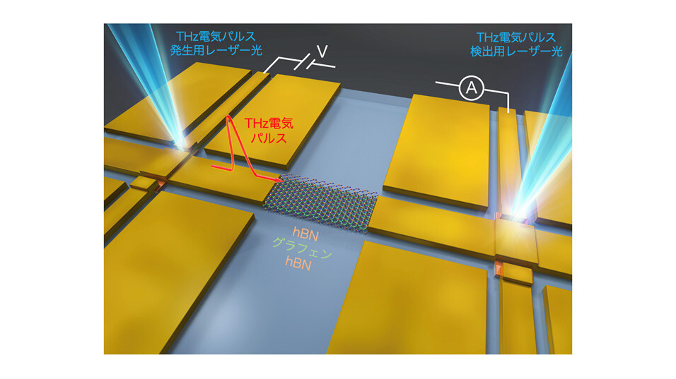 図1：実験の概略図。チップ上でパルス幅が1.2ピコ秒のTHz電気パルスをグラフェンに印加し、グラフェンプラズモン波束を発生・伝搬させ、その実時間波形をサブピコ秒の時間分解能で計測した。図中のhBNは六方晶窒化ホウ素。