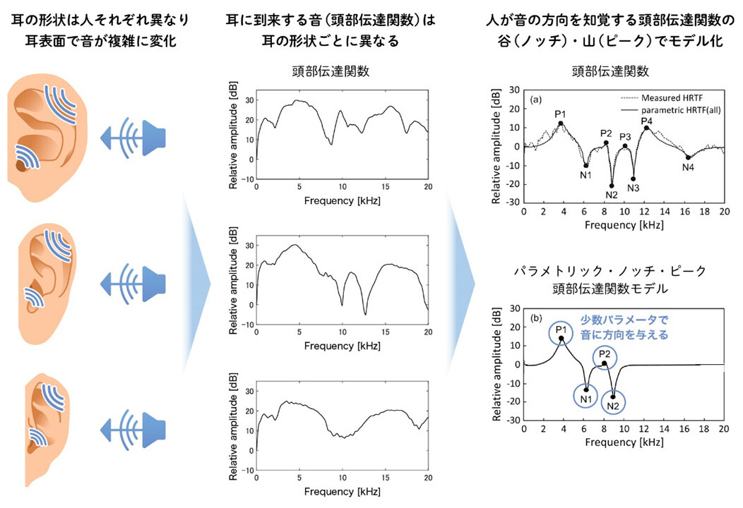 図3．耳の形によって異なる頭部伝達関数を少数のパラメータで表現可能なパラメトリック・ノッチ・ピーク 頭部伝達関数モデル