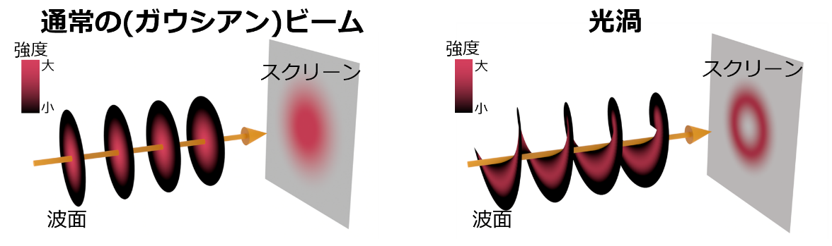 図2 通常のビーム（図左）と光渦（図右）の波面とスクリーンに当てた際のビーム断面の強度分布