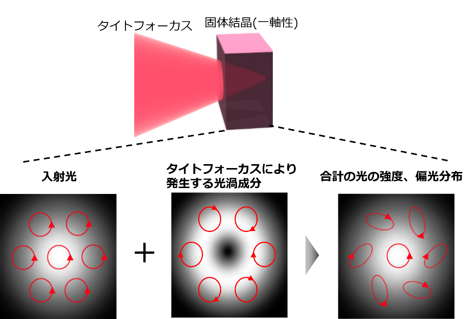 図4 固体結晶にタイトフォーカス（焦点距離の短いレンズで集光）された光が作る偏光状態