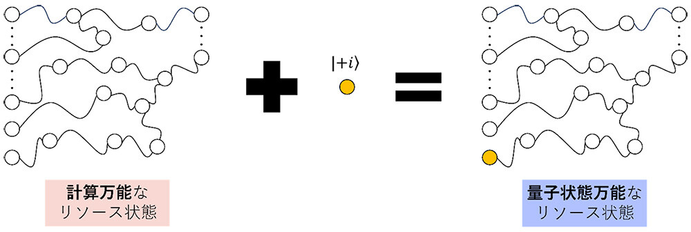 図2：本研究成果のイメージ図。丸は1量子ビットを表しており、曲線で結ばれた2量子ビットはエンタングルしています。計算万能なリソース状態に含まれる適切な1量子ビットをパウリY固有状態|+i⟩≡(|0⟩+i|1⟩)/√2という特別な状態に置き換えることで、量子状態万能なリソース状態に変換できることを発見しました。