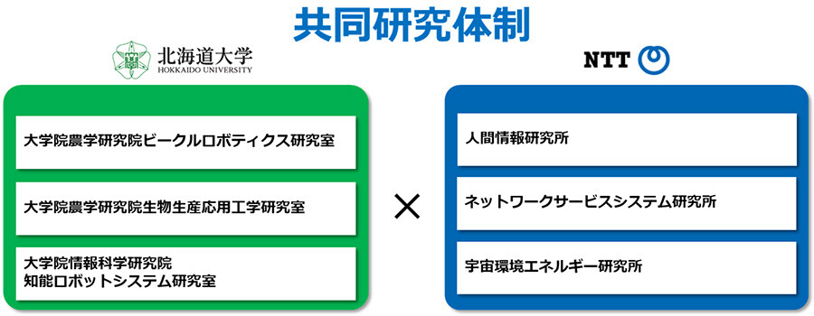 図3 共同研究体制