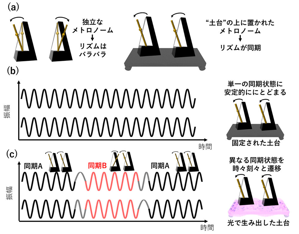 図1: (a)メトロノーム（振動子）における同期の例。(b)単一状態に同期し続ける振動の波。(c)異なる同期状態を時々刻々と遷移する振動の波。同期A：同じ方向に振動しながら同期している状態。同期B：反対方向に振動しながら同期している状態。