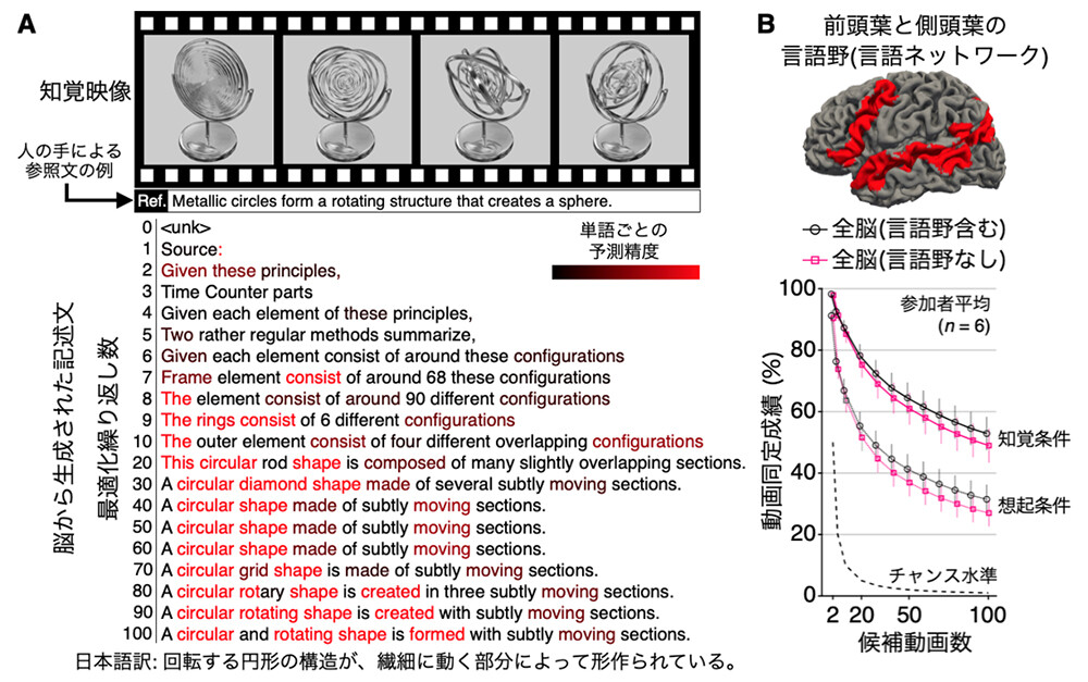 図3：知覚・想起内容に関する脳活動からのテキスト生成結果。(A) 繰り返し最適化の過程において脳活動から生成されたテキストの例（知覚条件）。(B) 言語野を解析に含めた場合と除外した場合の動画同定成績。各動画の生成文と参照文の間の類似度スコア（意味特徴の相関）に基づき、候補動画数を2〜100まで変化させて知覚・想起した動画を正しく同定できるかを評価しました。
