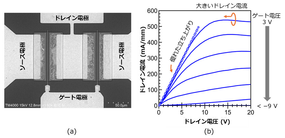 図3　AlN系トランジスタ（Al組成85％）の(a)電子顕微鏡像（上面から撮影）、(b)ゲート電圧を&plus;3Vから&minus;9Vまで変化させたときのドレイン電流&hyphen;電圧特性。
