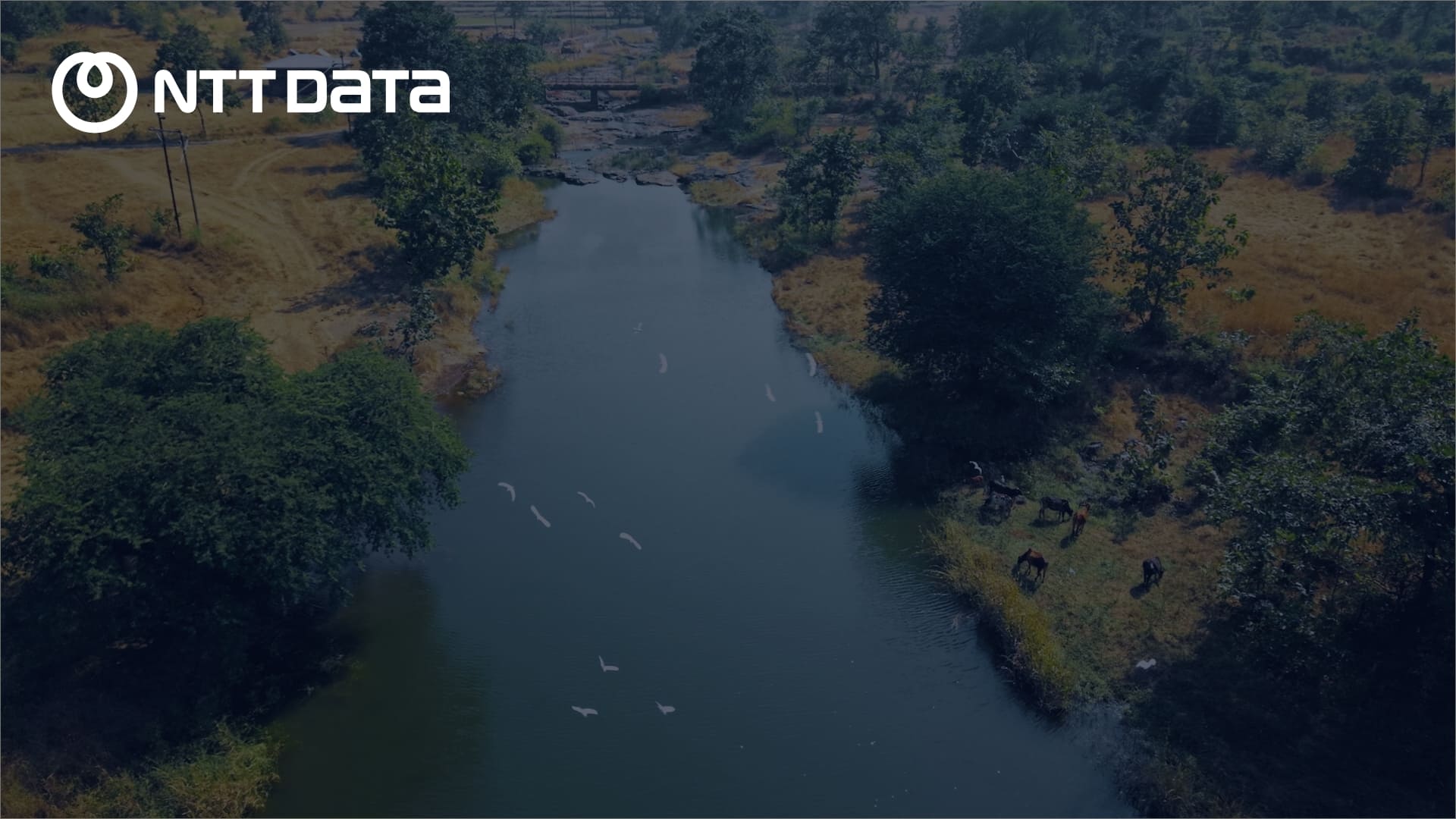 “Jal Sanjivani: 水保全プロジェクト“のイメージ画像