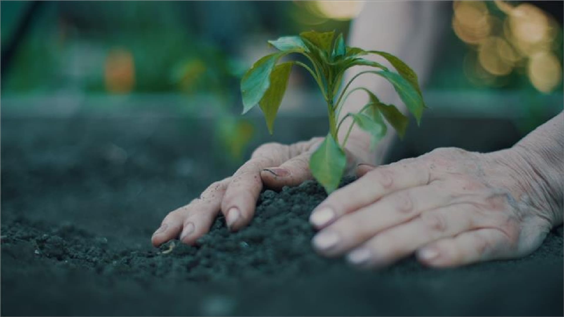 “Move for the SDGs“のイメージ画像