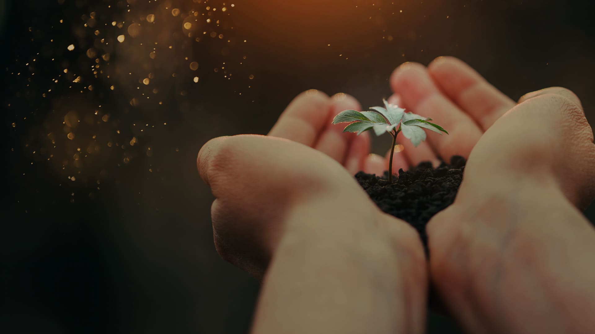 “地域食品資源循環ソリューションの拡大と高度化“のイメージ画像