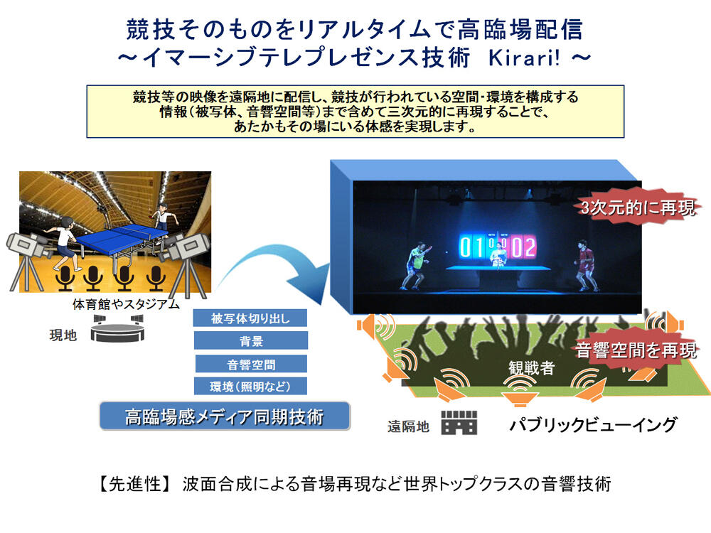 イマーシブテレプレゼンス技術説明図