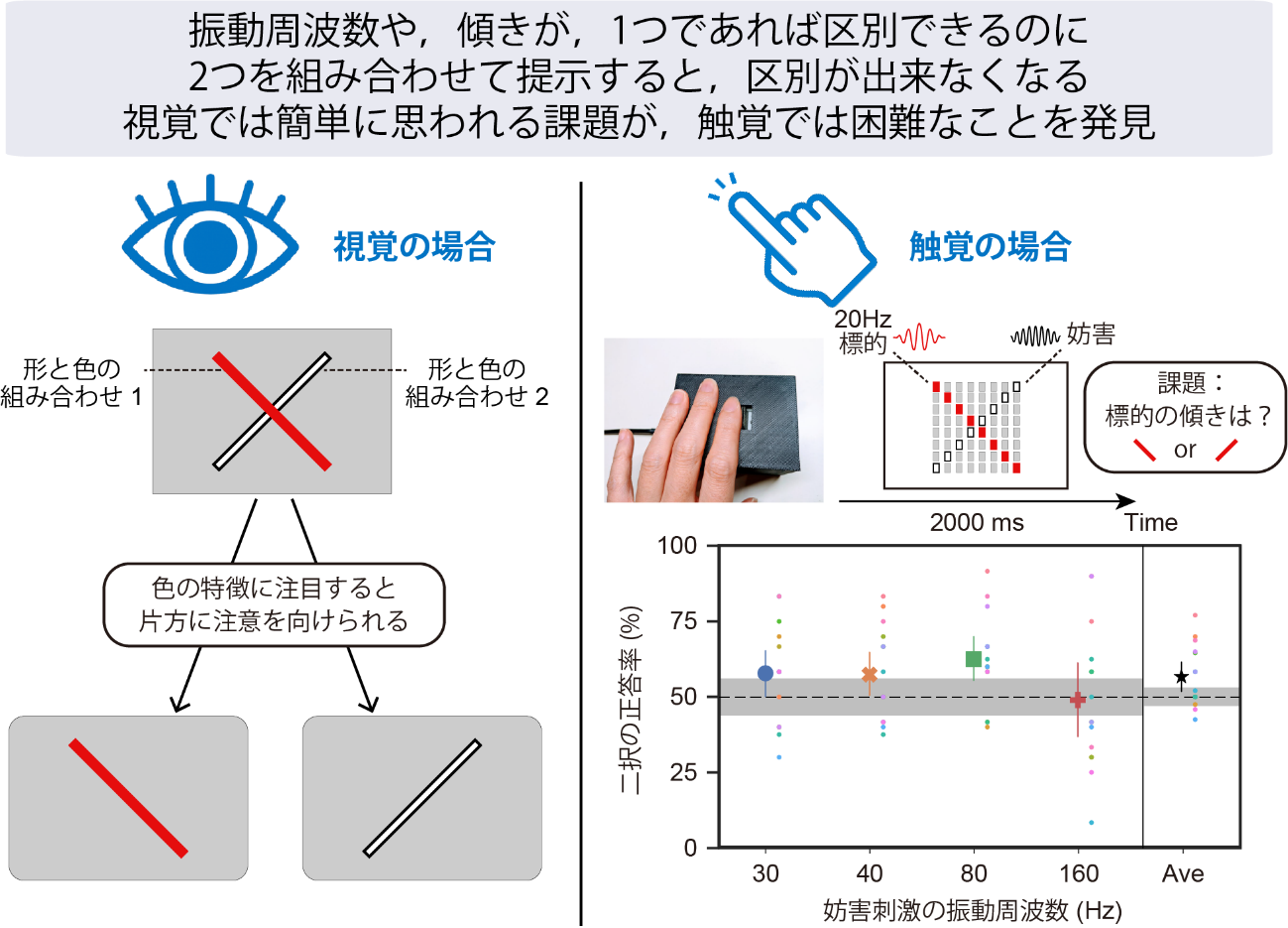 図1：視覚では、色と形を組み合わせて提示しても、色の特徴に注目することで特定の線の傾きを正しく判別できる。一方、触覚では、ピンアレイ型触覚ディスプレイを用いて低周波と高周波の振動パターン（異なる感触）をそれぞれ異なる傾きで提示した場合、どの線がどの感触をもつのかを正しく対応づけることができない。下段のグラフは、触覚での課題の正答率が偶然レベル（50％）付近にとどまることを示している。