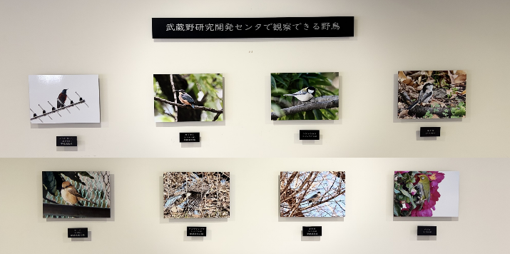 動物写真展示