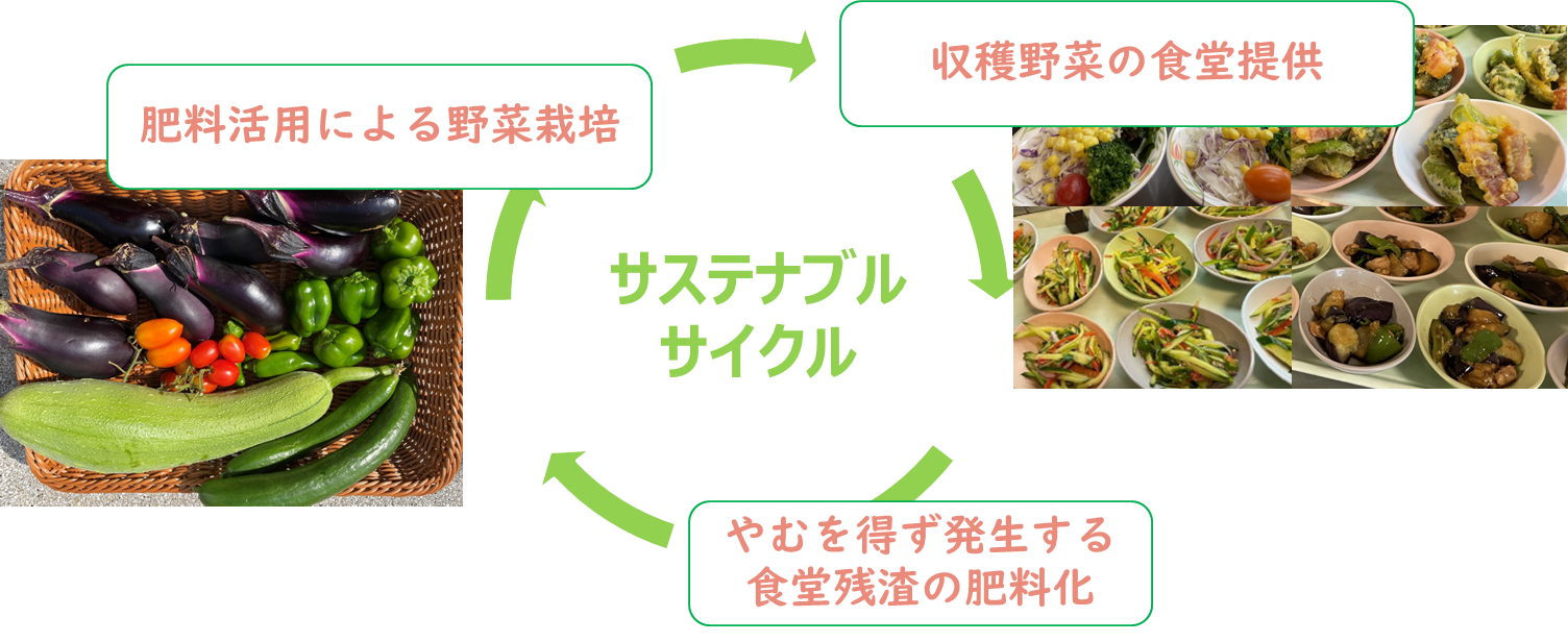 サステナブルサイクル：収穫野菜の食堂提供→肥料活用による野菜栽培→やむを得ず発生する食堂残渣の肥料化